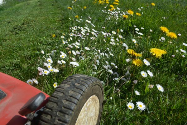 Meadow Mowing Service