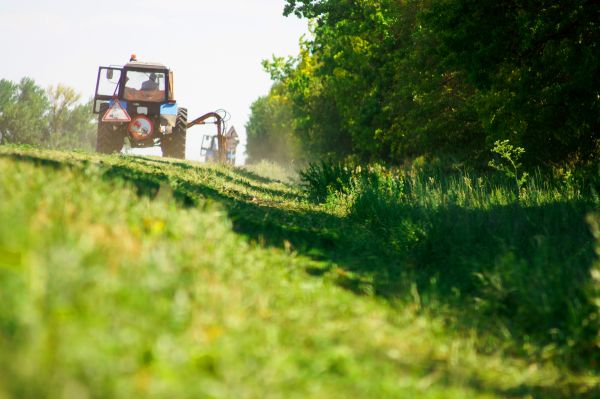 Pasture Bush Hogging Service