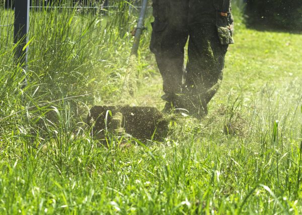 Brush Mowing Service